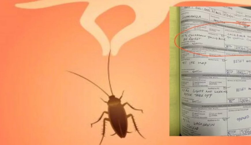 মাঝ আকাশে ‘তেলাপোকা’র ফাঁসি