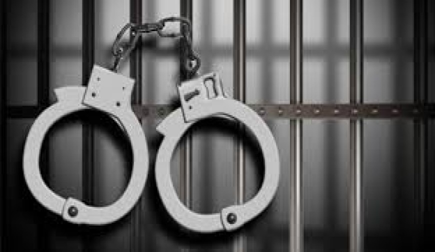 মাদকসহ তিনজন আটক, ভ্রাম্যমাণ আদালতে দুজনের সাজা