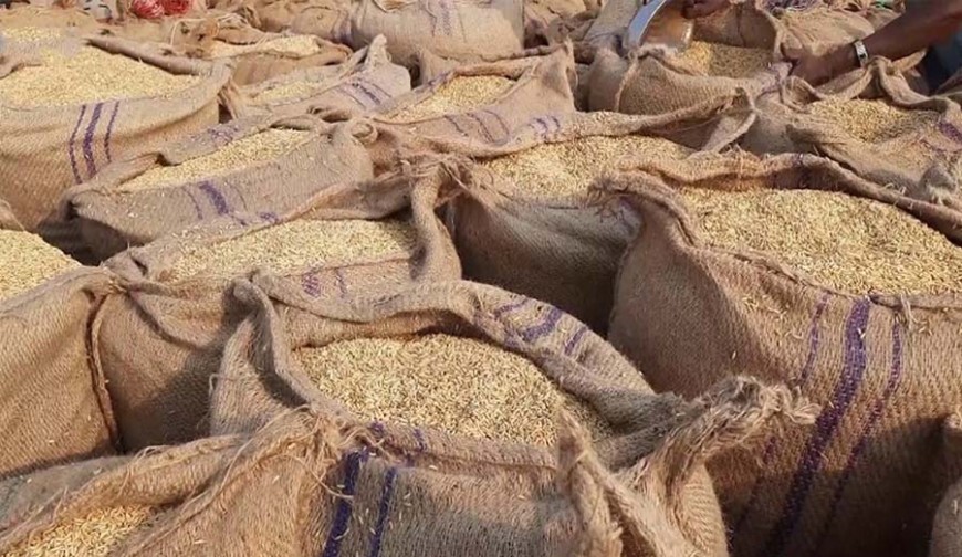 ৩৯ টাকা কেজিতে ধান, ৫০ টাকায় সিদ্ধ চাল কিনবে সরকার