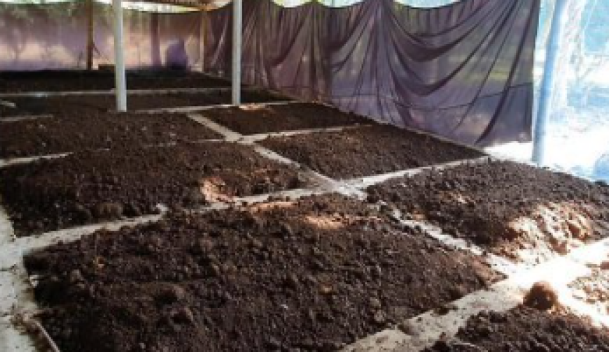 জৈব সারে মাসে লাখ টাকা আয়