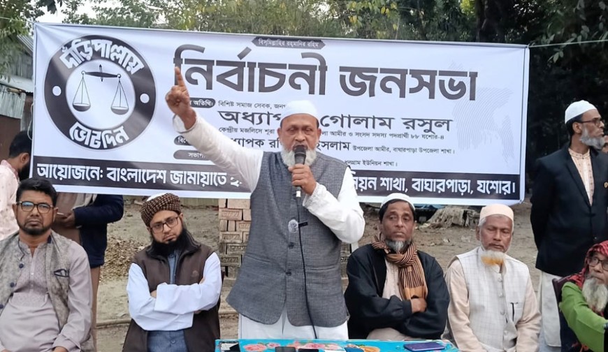 বাঘারপাড়ার ধলগ্রামে ১১ দলের নির্বাচনী জনসভা ও মিছিল