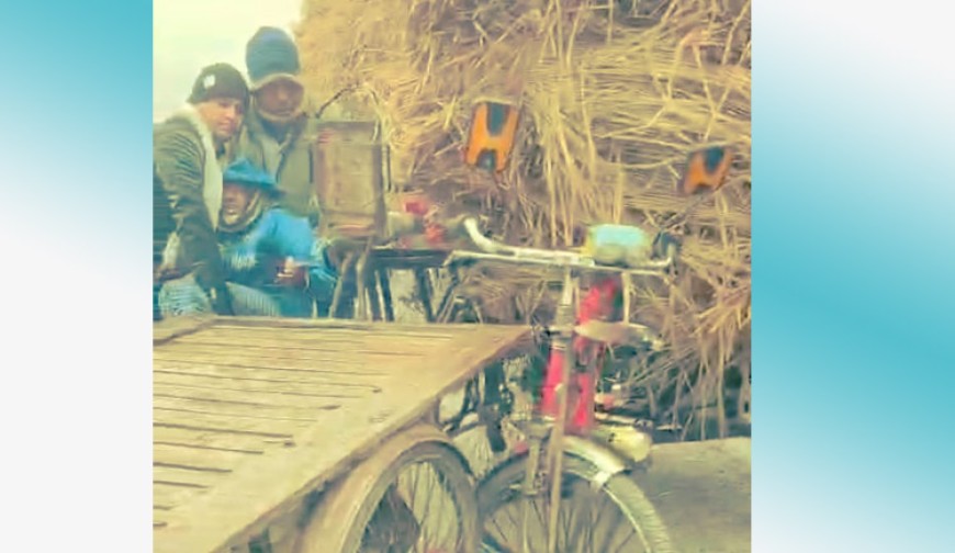 কুয়াশায় ভ্যানে ভ্যানে সংঘর্ষ, আহত ভ্যানচালক