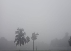 খুলনা