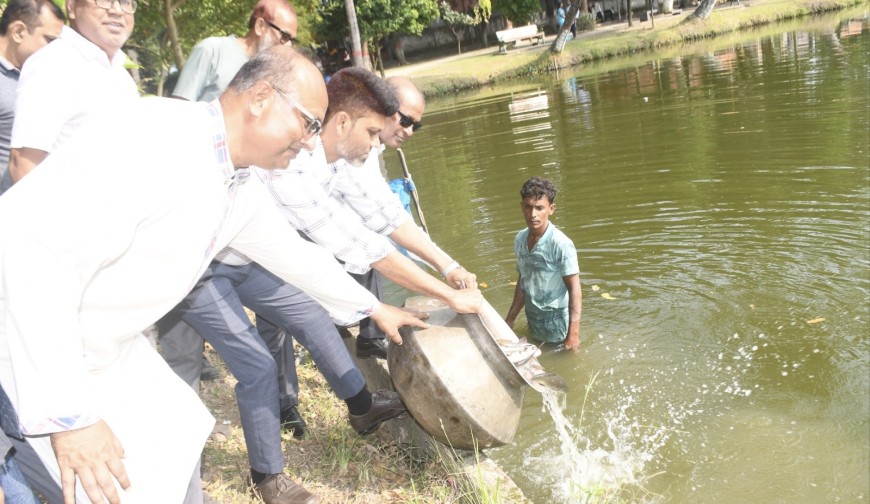 যশোর পৌরসভার উদ্যোগে পৌর পুকুরে বিভিন্ন প্রজাতির মাছের পোনা অবমুক্ত