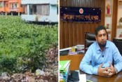 শার্শায় ডেঙ্গু রোগী অর্ধশতাধিক, পরিচ্ছন্নতায় জোর