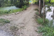 ঝিনাইদহ