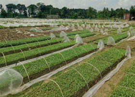 কৃষিকথা