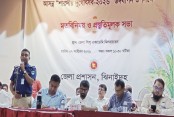 ঝিনাইদহ