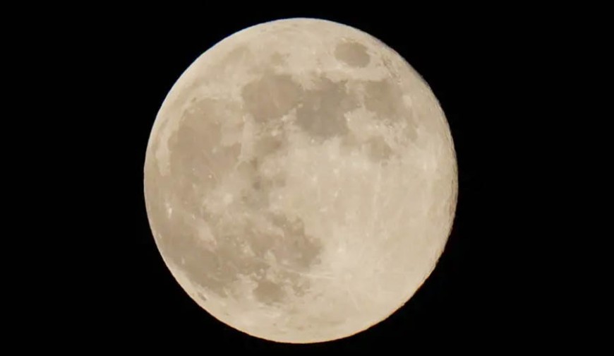 চাঁদে যেভাবে বাড়ি বানাবেন ইলন মাস্ক