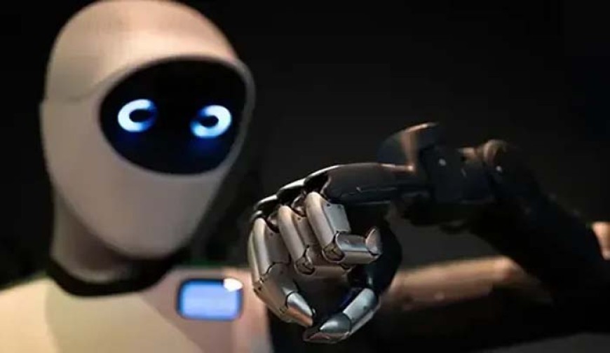 রোবট দেখে আতঙ্কিত নারী হাসপাতালে