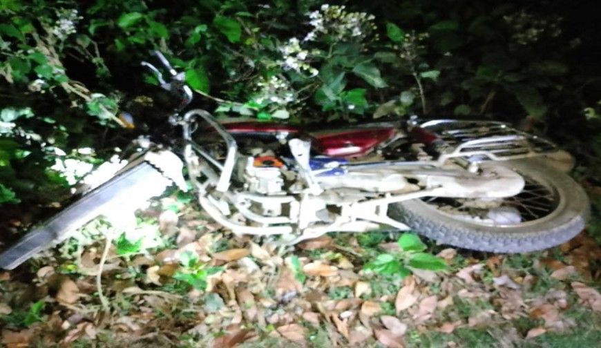 কোটচাঁদপুরে সড়কে গাছ ফেলে ডাকাতির চেষ্টা: বাধা দেওয়ায় ২ যুবককে জখম