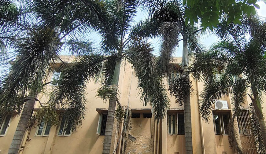 পৌরপার্কে বিরল ফুল