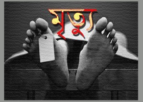 নড়াইল