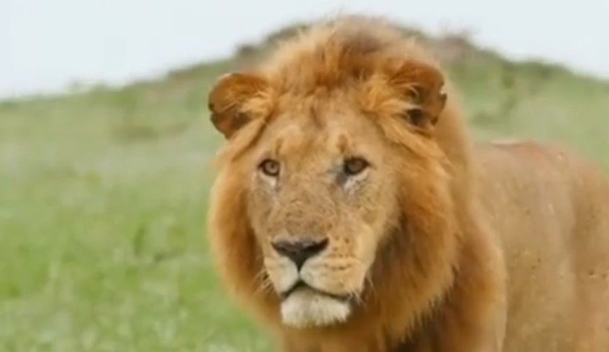 পৃথিবীর এক নম্বর কিলার এখন আপনার বেডরুমে