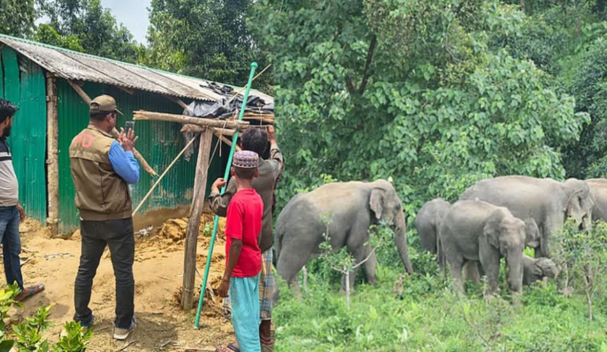 চোখের সামনেই মেয়ে আর স্ত্রীকে আছাড় মেরে হত্যা করলো হাতি
