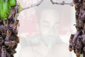 অচমকা ধেয়ে এলো মৌমাছির ঝাঁক, হুলের আঘাতে কিশোর হাসপাতালে