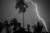 পরিবেশ
