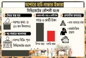 নির্বাচিত