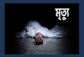 চৌগাছা