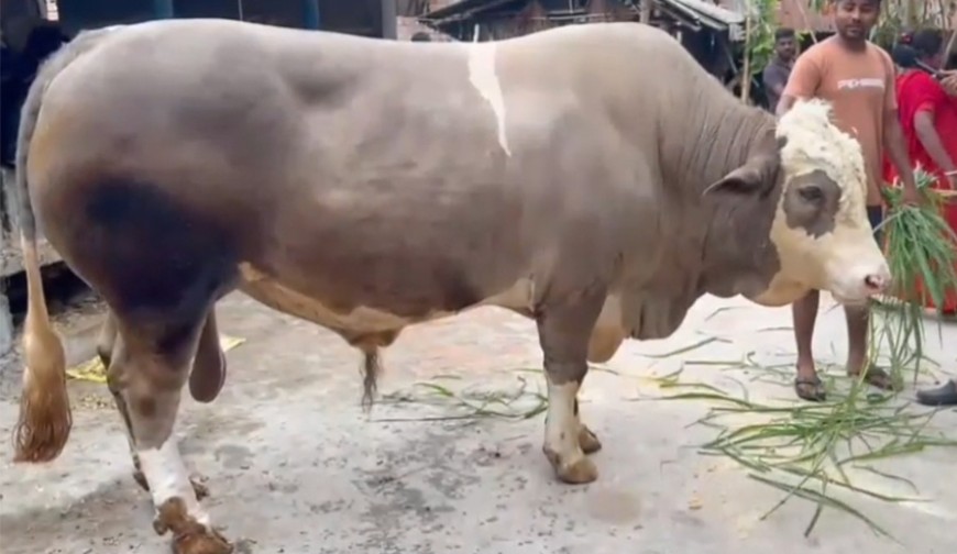 ৩২ মণ নেইমারের চুলের বাহার বেশ