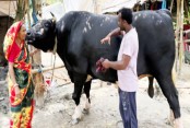 অর্থনীতি ও বাণিজ্য