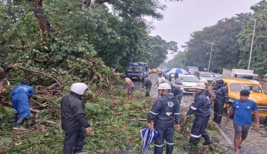 ঝড়ে লণ্ডভণ্ড পশ্চিমবঙ্গ, নিহত ৮