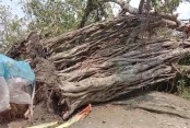 কেশবপুর