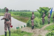 মেহেরপুর সীমান্তে ৪ জনকে পুশইনের চেষ্টা, বিজিবির বাধায় ব্যর্থ