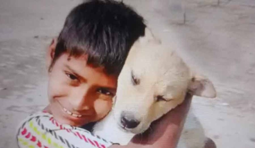 মাজারের দীঘিতে কুমির টেনে নেওয়া শিশুর মরদেহ উদ্ধার