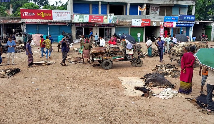 রাজারহাটে কোরবানি-পরবর্তী দ্বিতীয় হাটে ৫ হাজার চামড়াও ওঠেনি, পাচারের শঙ্কা