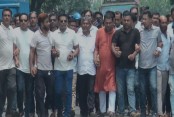 বাঘারপাড়া