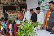 যশোরে শুদ্ধাঙ্গন স্কুলের উদ্যোগে বৃক্ষরোপণ ও চারা বিতরণ