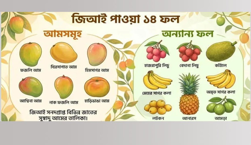 দেশের ১৪ ফলে জিআই সনদ, ব্র্যান্ডিং-অর্থনীতিতে নতুন আশা