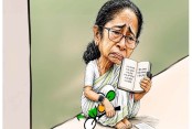 মূল আছে ঝরে যাচ্ছে সব তৃণ, একা হয়ে পড়ছেন মমতা