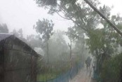 মৌসুমীবায়ু সক্রিয়, আগামী ৫দিন থাকবে বর্ষা