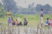 বন্দুক দেখিয়ে নারী-শিশুদের বাংলাদেশে ঢোকাচ্ছে বিএসএফ: পশ্চিমবঙ্গের মানবাধিকার সংগঠন এপিডিআর