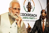 ভারতে ‘ককরোচ’ আতঙ্কে  ঘুম হারাম মোদির