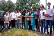 যশোরের খেজুরের রস রক্ষায় ২০ লাখ বীজ বপন