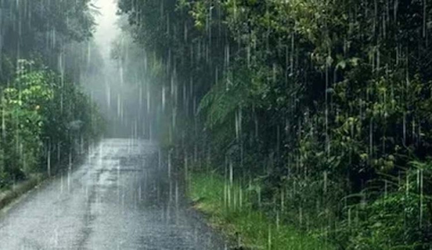 বৃষ্টিতে থমকে আছে জনজীবন, থাকবে আরও দুই দিন