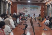 বাঘারপাড়া