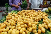 হলুদরঙা এই ফলগুলো আসলে কী