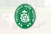 উন্নয়ন