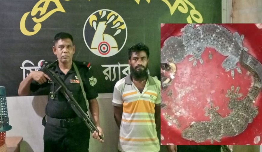 যশোরে দুটি জীবিত তক্ষকসহ যুবক আটক
