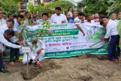 শুধু গাছ লাগালেই হবে না, যথাযথ পরিচর্যা করতে হবে: বিদ্যুৎ ও জ্বালানি প্রতিমন্ত্রী