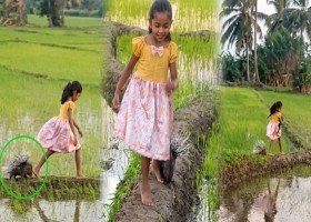 ফ্যাক্টচেক