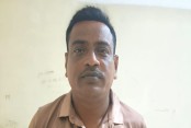 শার্শা