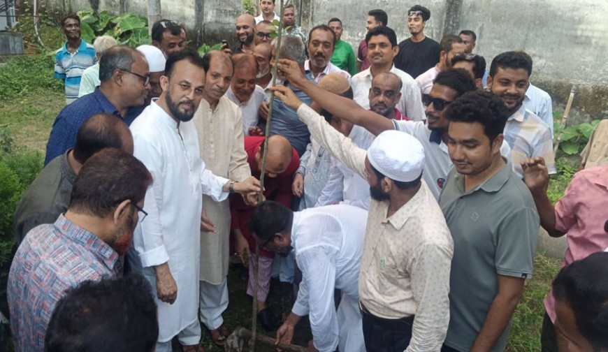 বেনাপোলে বিএনপির বৃক্ষরোপন