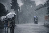 পরিবেশ