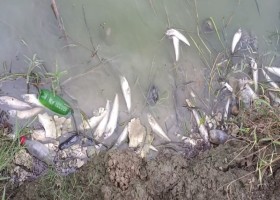 খুলনা