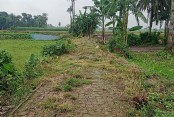 সরকারি রাস্তা দখল করে চাষাবাদ, দুর্ভোগে হাজারো মানুষ, প্রশাসনের উচ্ছেদের আশ্বাস